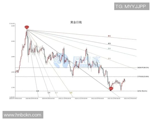 广州羽毛球队的盯防策略揭秘与深度分析探讨